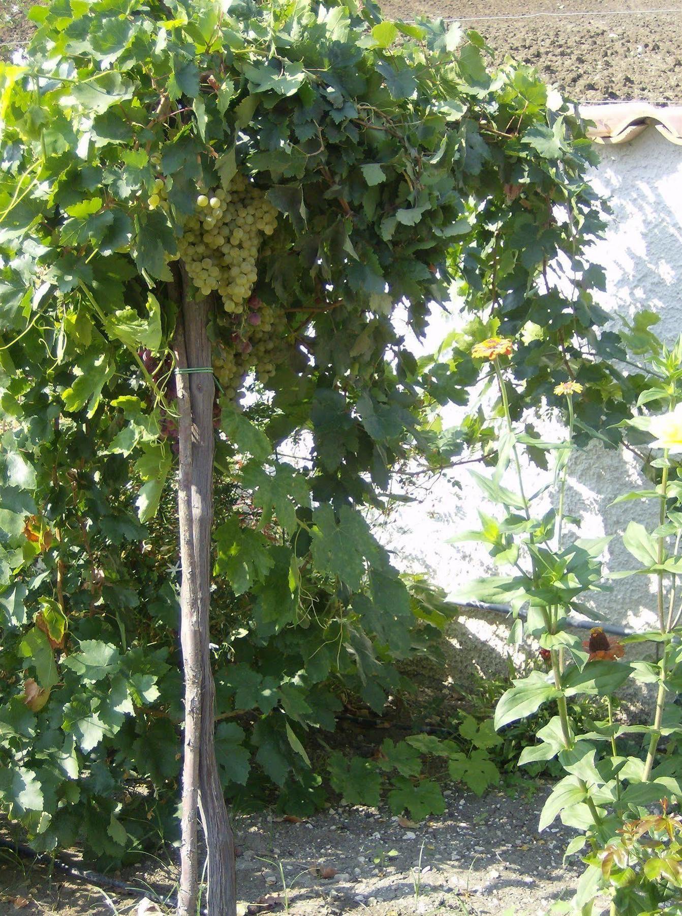 Casale Margherita Cammarata Buitenkant foto